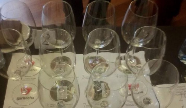 bicchieri per degustazione vini 